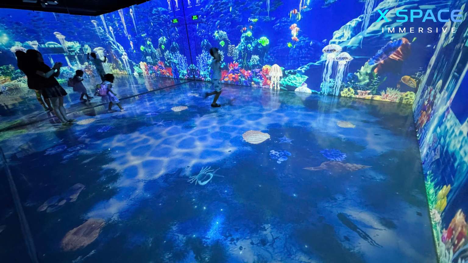 What Is an Immersive Room?