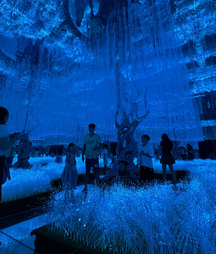 Light Forest