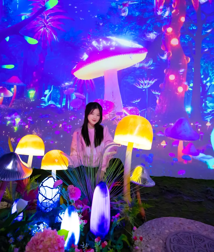 Wonderland