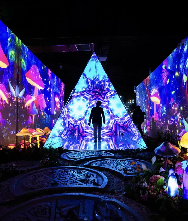 Magic Tunnel
