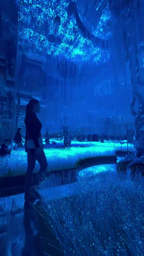 Light Forest