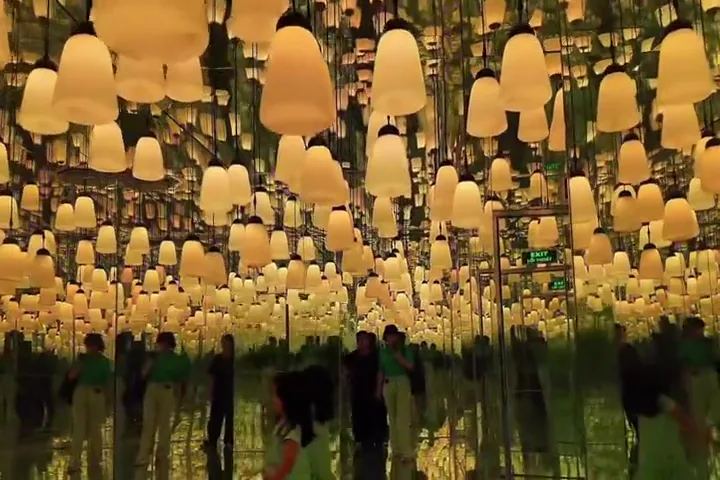Infinity Light Forest