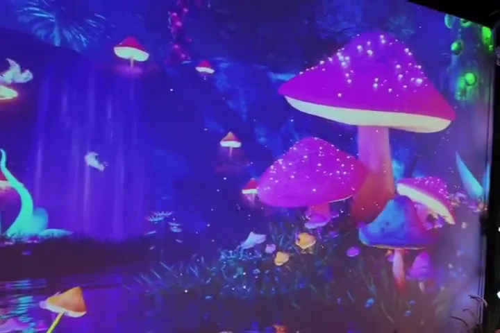 Wonderland